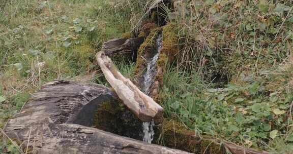 水特征，特征，弹簧，水