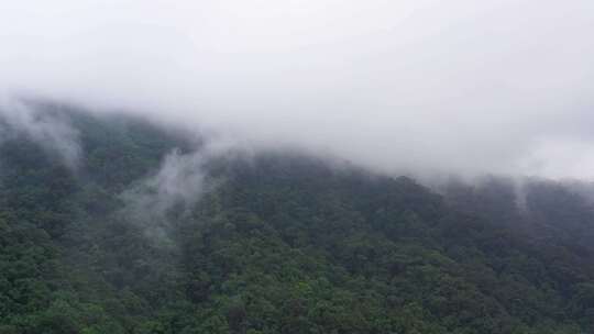 热带气候下的热带雨林山峰覆盖着山脉