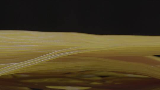 玉米面条玉米馇条LOG视频素材