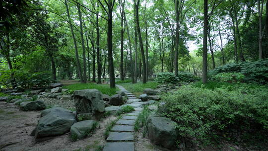 武汉青山区青山公园风光