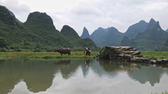 水边石拱桥旁的水牛和戴帽农民