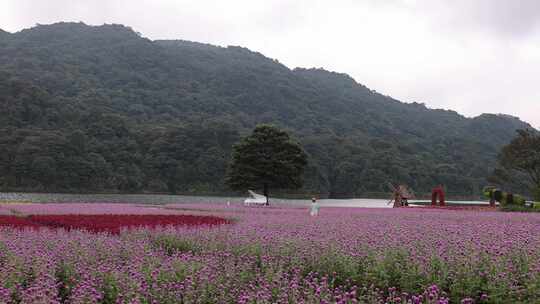 广州市从化区石门森林公园天池风景