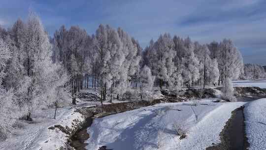 雪柳冰雪世界雾凇241104 (8)