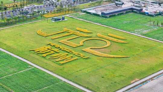 浙江省杭州市亚运村“杭”字草坪