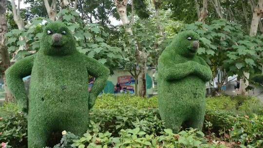 绿色植物装饰动物