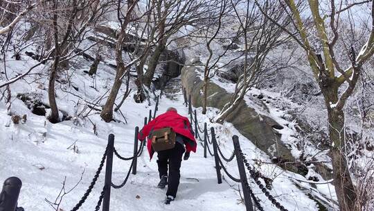 雪中游客攀登通天梯台阶