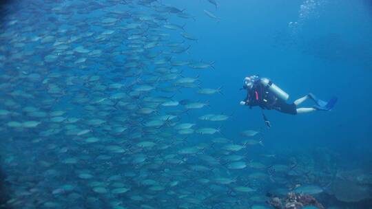 潜水员在热带海洋潜水