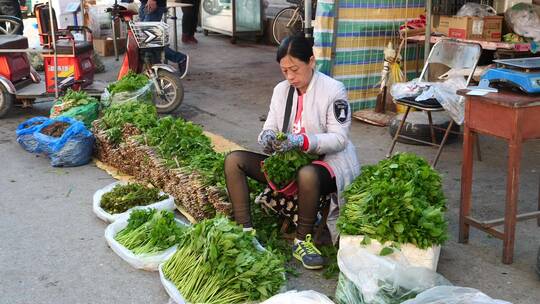 东北农村春天山野菜集市