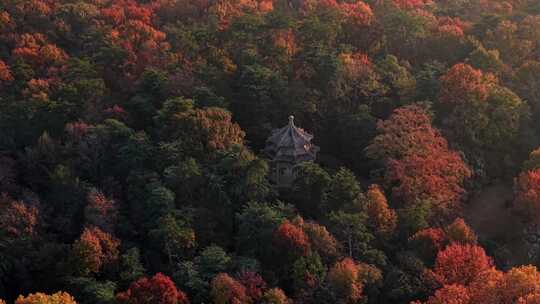 南京中山陵光化亭