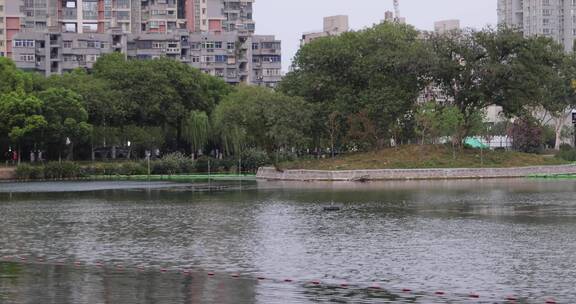 武汉汉口唐家墩公园风景