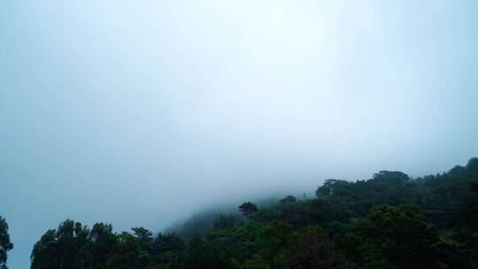 山上雾气环绕雨后山顶