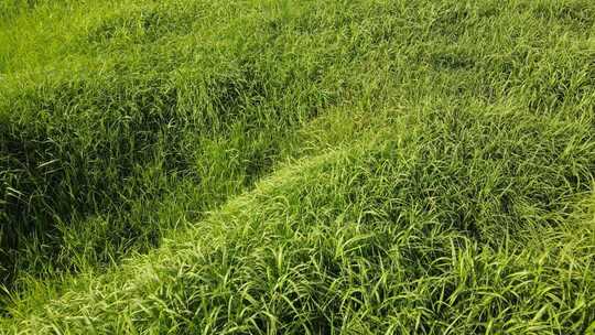 二里头夏都遗址博物馆