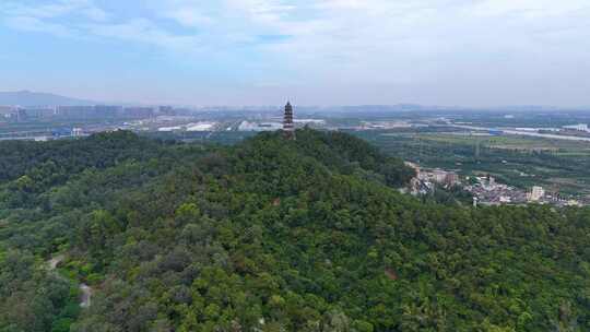 江门陈皮村凌云塔大景航拍