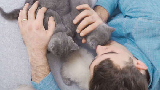 可爱小猫的垂直视频。拥抱可爱小猫的男人。