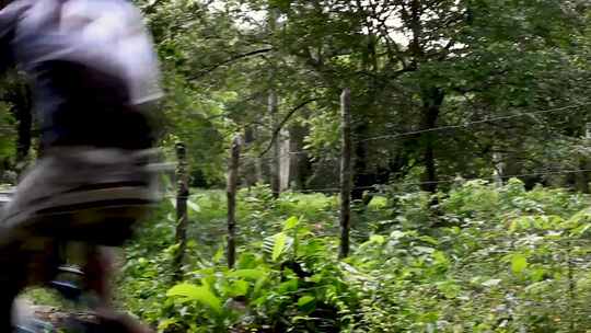 森林里自行车骑行车队