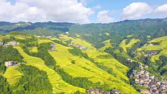 桂林龙脊梯田航拍（合集）