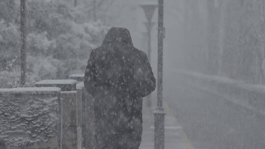 冬天雪景 下雪空镜