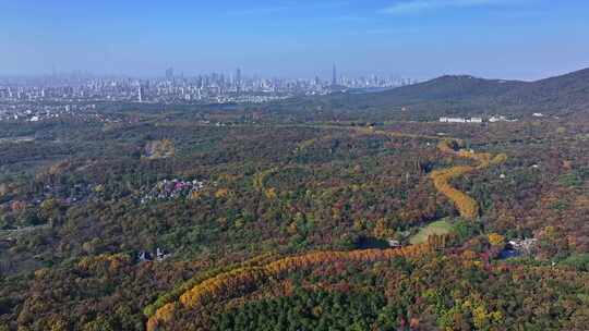 江苏南京中山陵灵山风景区音乐台秋色航拍