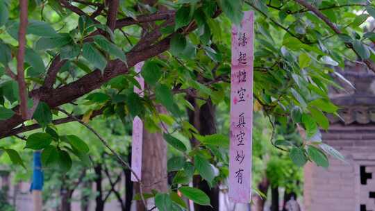 西安大兴善寺微风中摇曳的佛教便笺