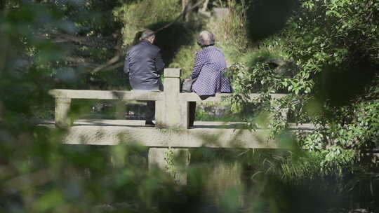 石桥上的老年夫妇视频素材模板下载