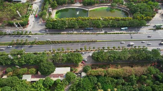 厦门航拍城市道路景观