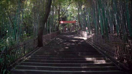 杭州西湖宝石山风景区4K视频合集