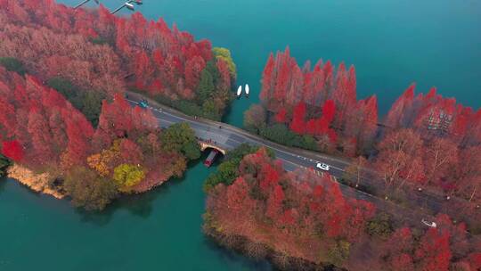 杭州西湖杨公堤秋色航拍