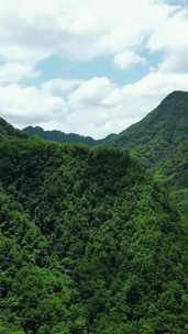 竖版航拍湖北神农架巴桃园景区4A景区