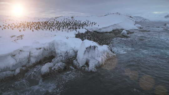 南极洲巴布亚企鹅殖民地上岸天线