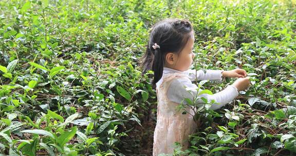 生态茶园里的可爱小女孩