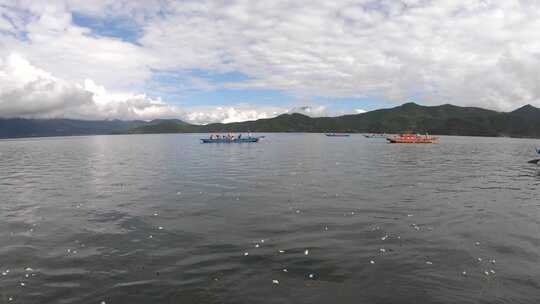 泸沽湖水中视角的猪槽船与水性杨花视频素材模板下载