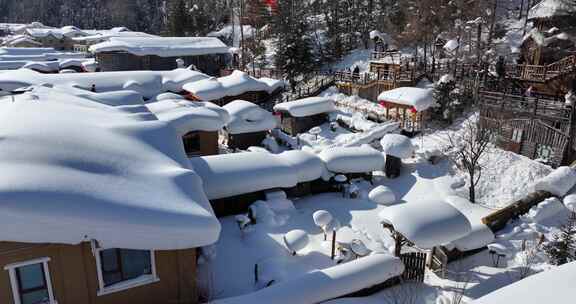 雪乡雪蘑菇