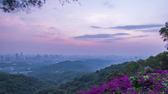 白云山鲜花盛放日落夕阳晚霞延时风光