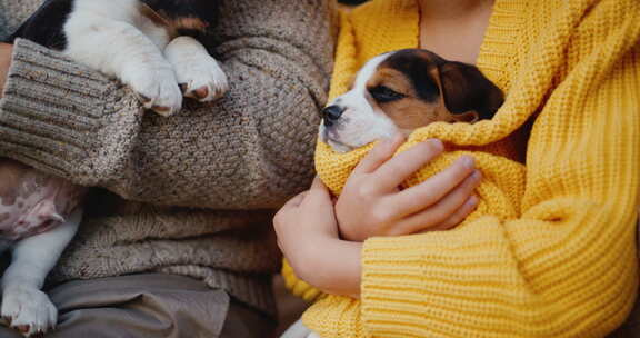 穿着暖和衣服的年轻人怀里抱着小猎犬小狗