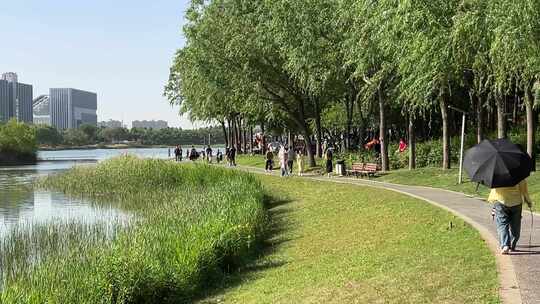 郑州龙子湖公园湖边绿地自动浇花花草