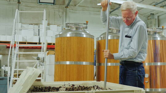 酿酒师在酿酒厂工作视频素材模板下载
