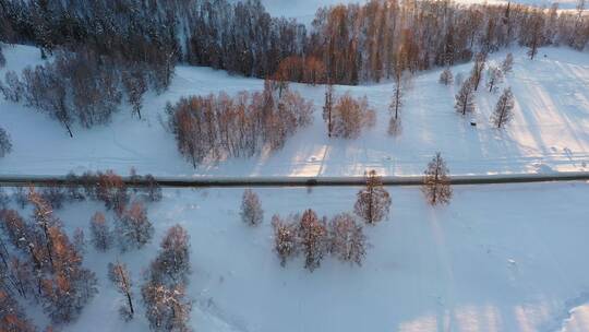 冬天喀纳斯雪中林间道路驾车