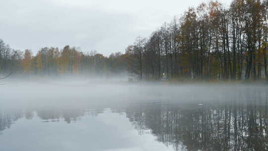 清晨厚厚的白雾掠过河岸表面