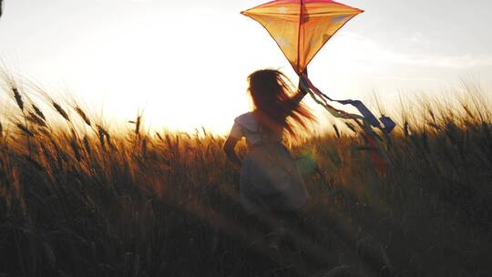 放风筝奔跑的小女孩视频素材模板下载