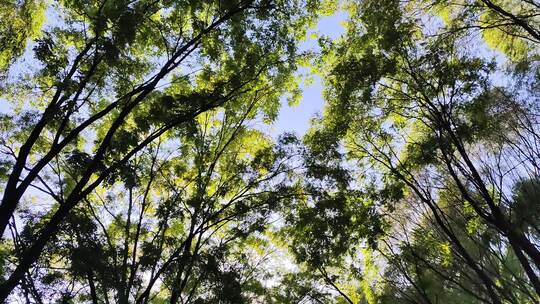 用劳模命名的鞍山孟泰公园