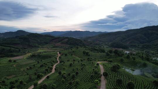 普洱市宁洱县风景