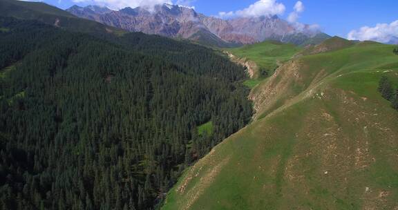 航拍高山森林草原自然景观