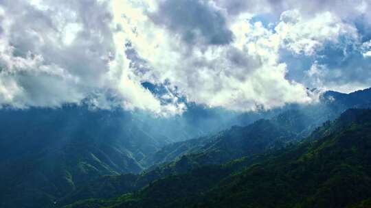 大自然森林河流山川原始森林动植物绿水青山