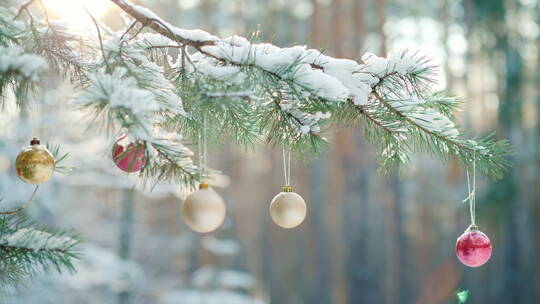 松树上的圣诞球