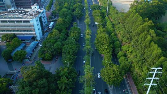 航拍城市公路 林荫大道 汽车交通路况车流