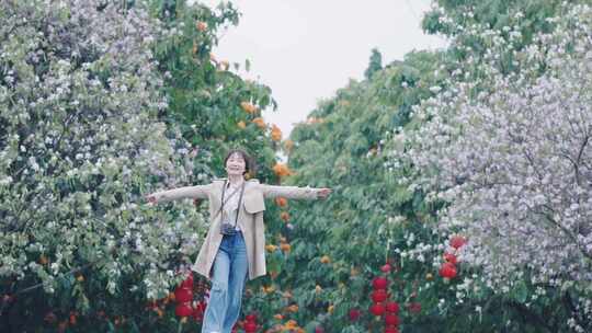 春日紫荆花盛开一女子转圈拥抱自然自由呼吸