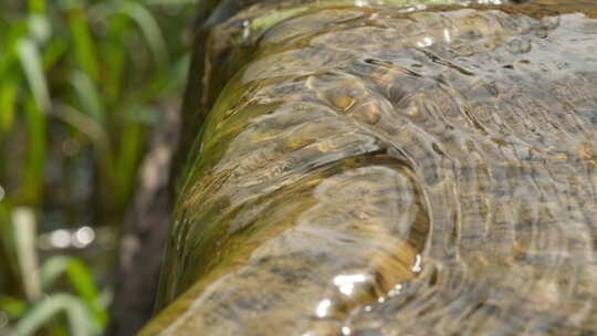 夏天小河池塘小溪潺潺流水