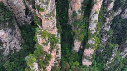 湖南张家界武陵源袁家界地质奇观