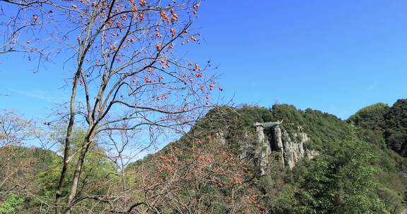 浙江余姚丹山赤水风光