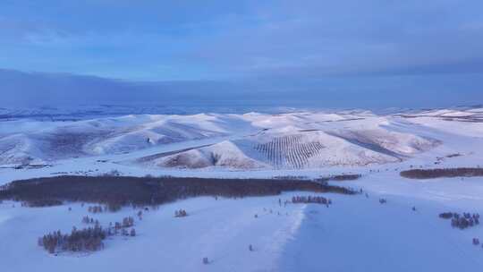 广阔无垠的雪覆盖的大地全景